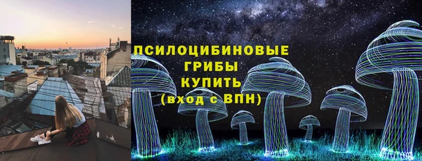 ГАЛЛЮЦИНОГЕННЫЕ ГРИБЫ Вязники