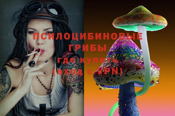 2c-b Вязьма