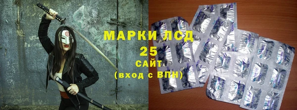 ГАЛЛЮЦИНОГЕННЫЕ ГРИБЫ Вязники