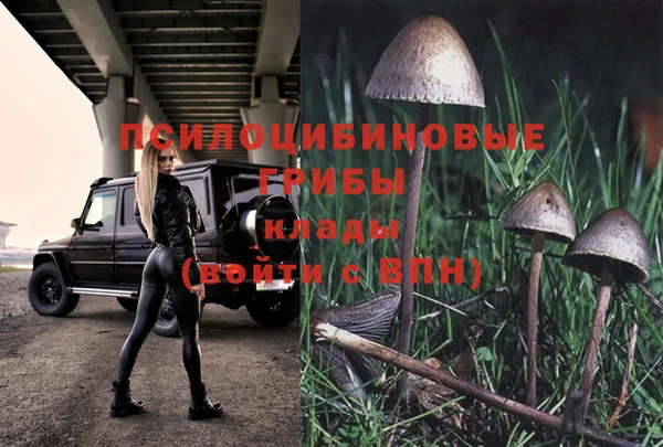 MDMA Premium VHQ Вяземский
